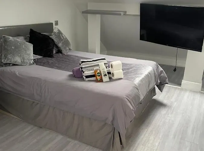 Newly Renovated Studio In Acton